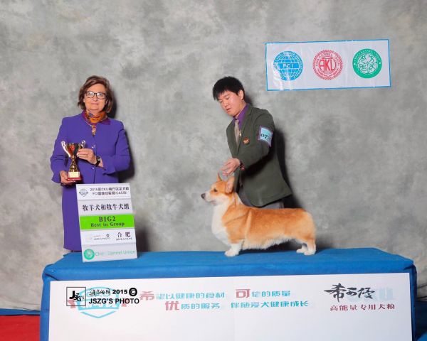 image.jpg