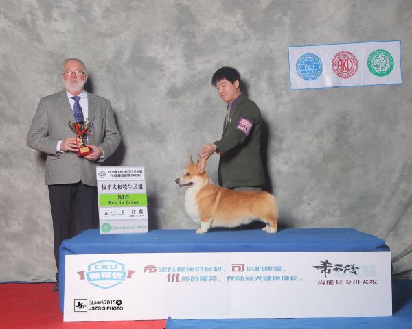 image.jpg