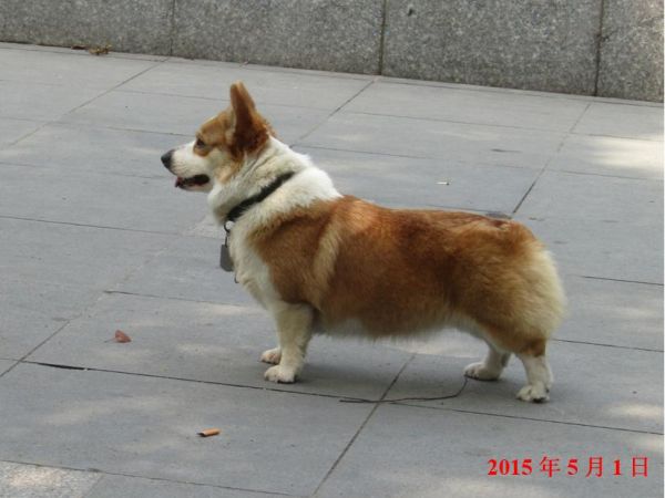 柯1.JPG