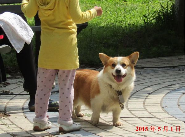 柯2.JPG