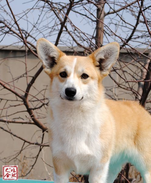 JS067870-2000_副本_副本.jpg