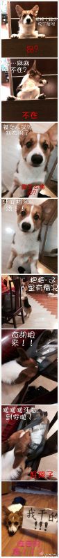 41a1beabjw1eblb458ki4j20hs4n74qp_meitu_1.jpg