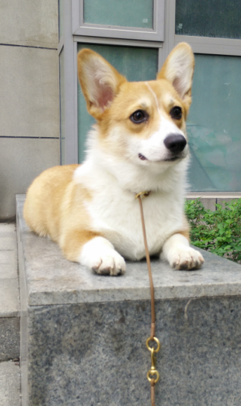 QQ图片20150504105314.png