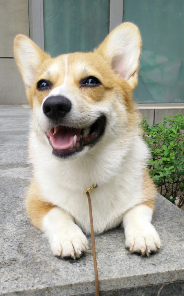 QQ图片20150504105545.png