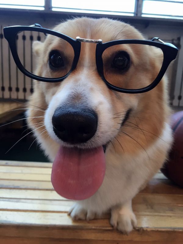 112.jpg
