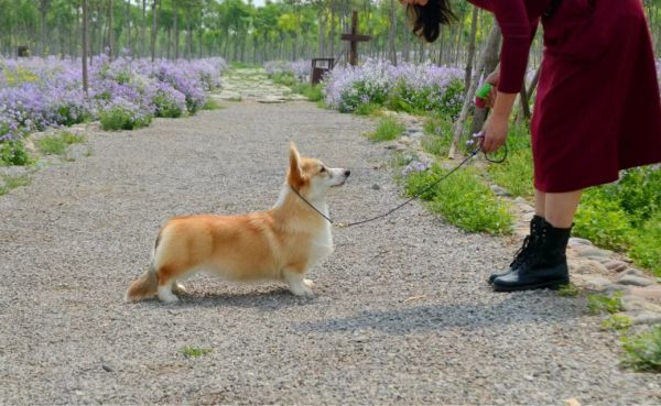 psbBBAI8KHL.jpg