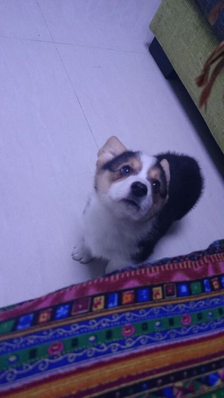 吃什么好的吃给我吃一口呗