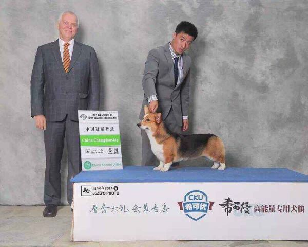 QQ图片20150509212846.jpg