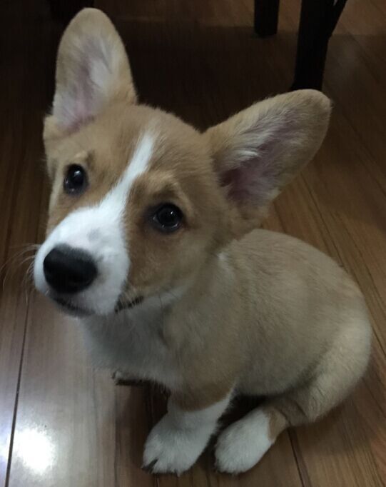 QQ图片20150423140651.jpg