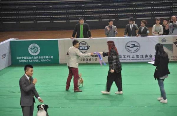 IMG_2137.JPG