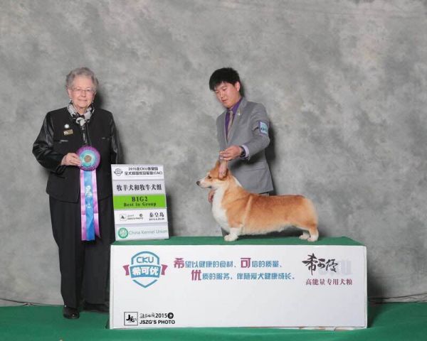 QQ图片20150429204821.jpg