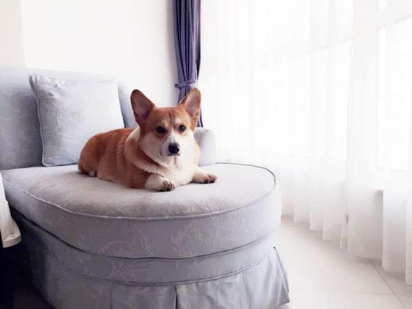 QQ图片20150429204831.jpg