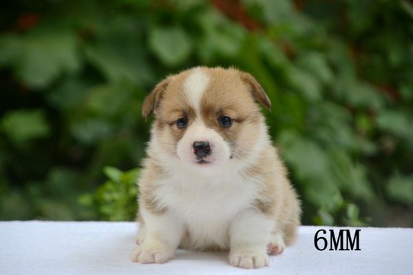 DSC_0884_副本.jpg