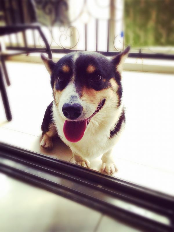 2014-11-22 154612.jpg