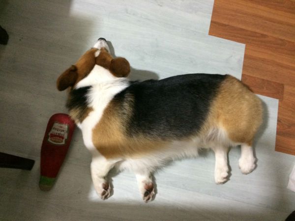 PIC_20150531_211017_920_meitu_1.jpg