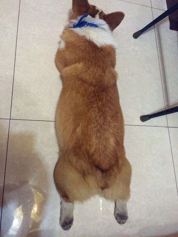 妈