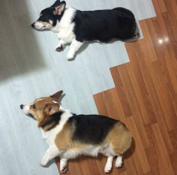 PIC_20150601_215119_1ED_meitu_1.jpg