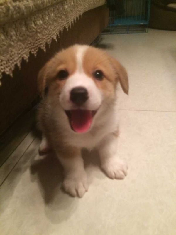 1MM