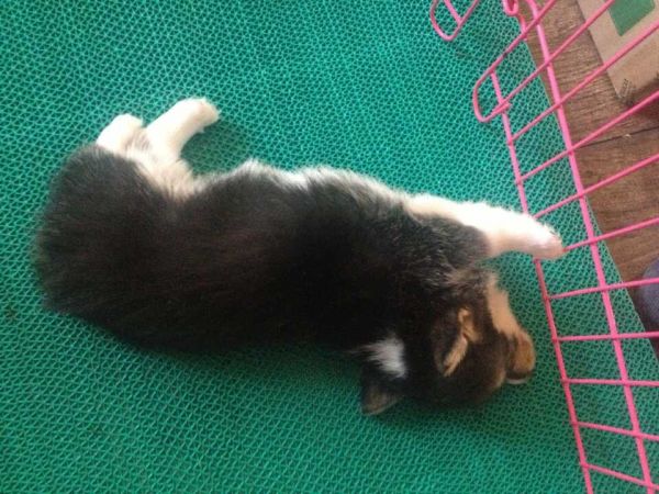 QQ图片20150605231335.jpg