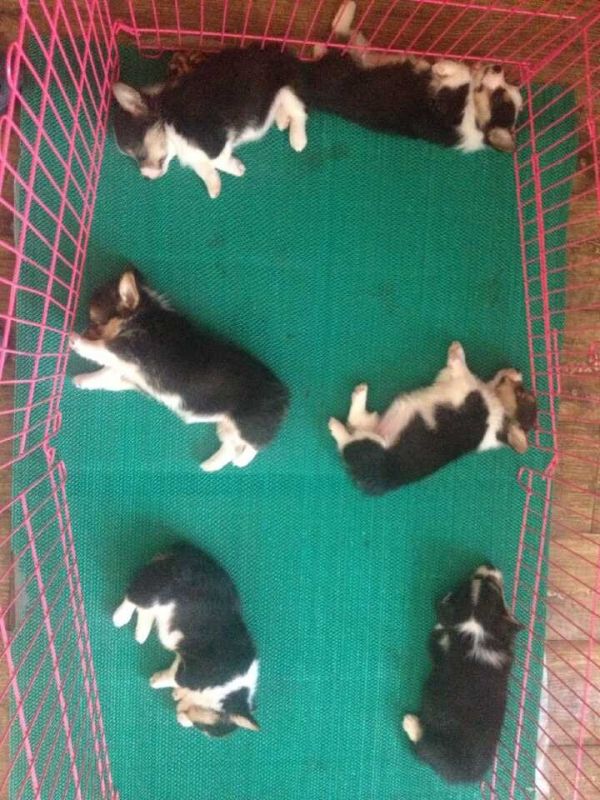QQ图片20150605231316.jpg