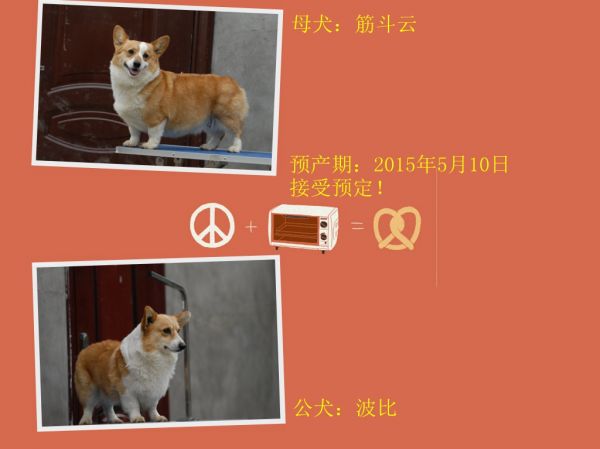 筋斗云&波比