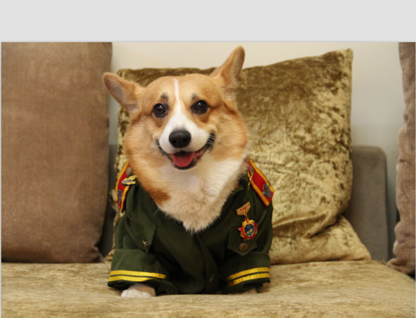 QQ图片20150612191147.png