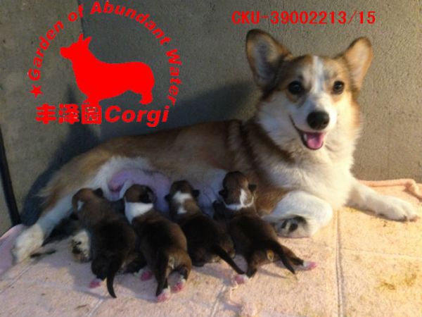 mama.jpg