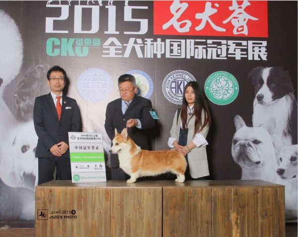 爸爸