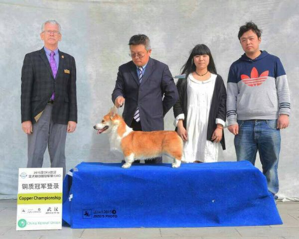 爸爸