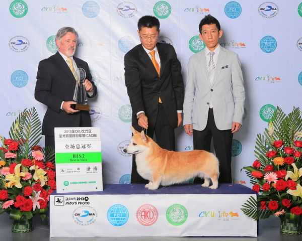 爷爷