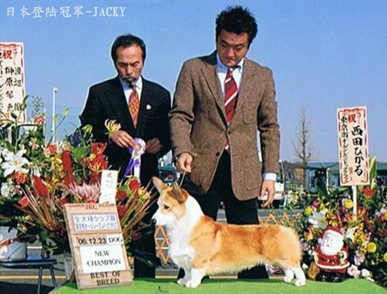 外公