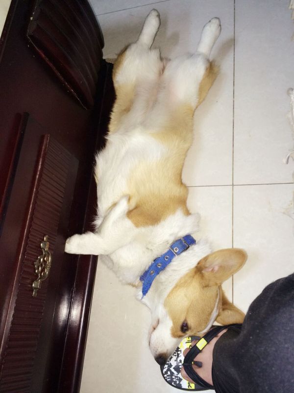 摩卡3.jpg