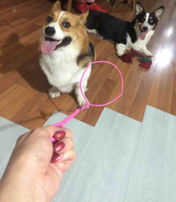 PIC_20150621_193702_8CF_meitu_4.jpg