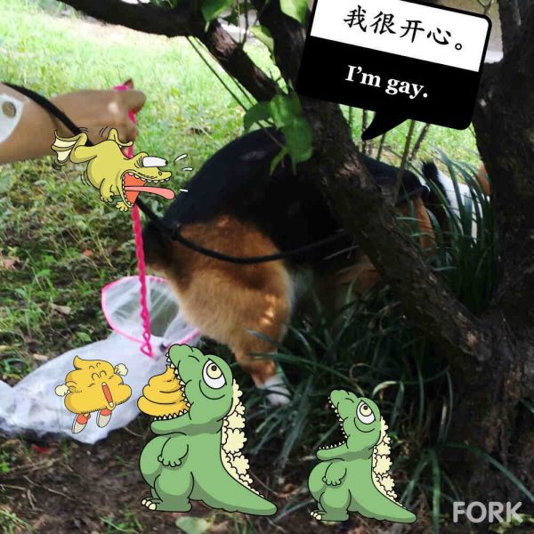 PIC_20150623_224733_3A4_meitu_3.jpg