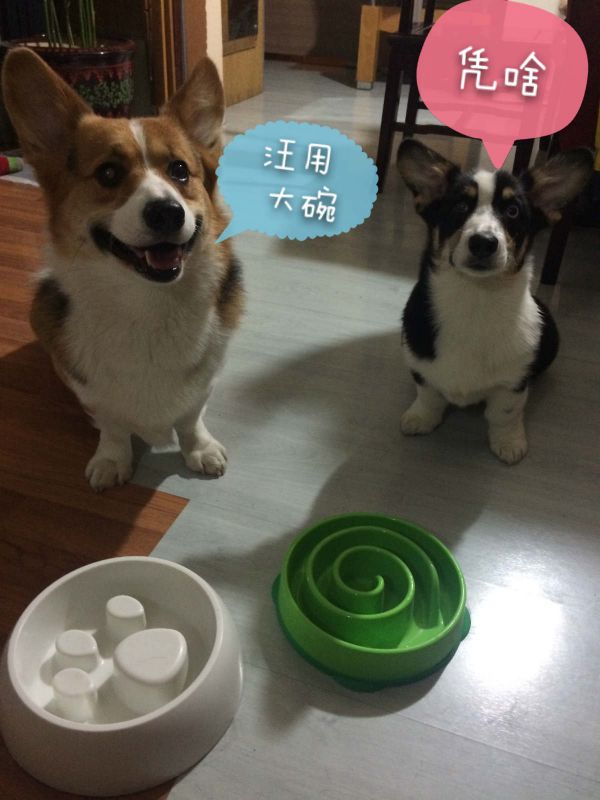 IMG_9293_meitu_1.jpg