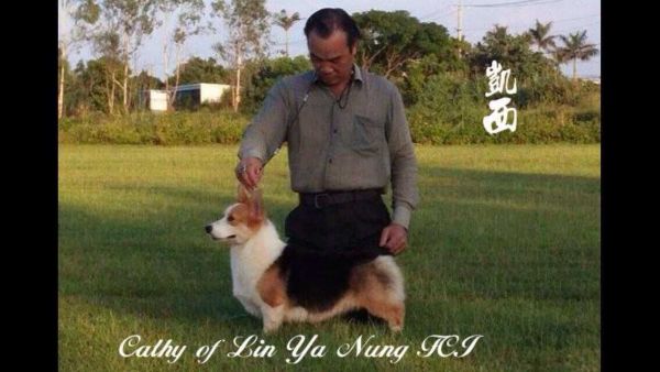 QQ图片20150518152314.jpg
