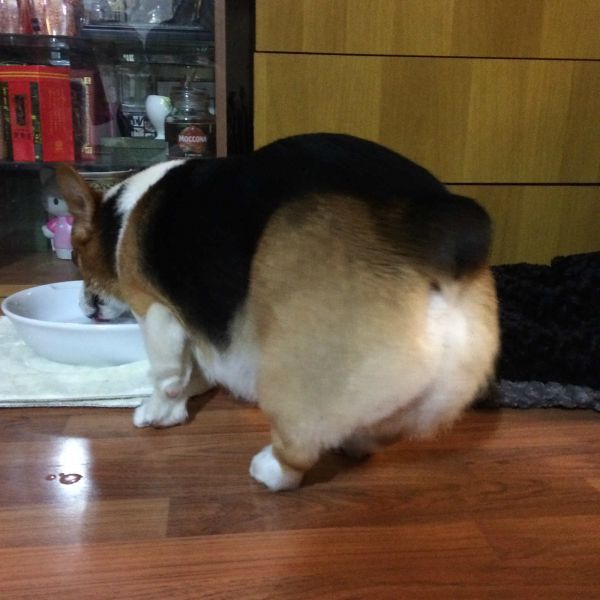 IMG_8051_meitu_1.jpg