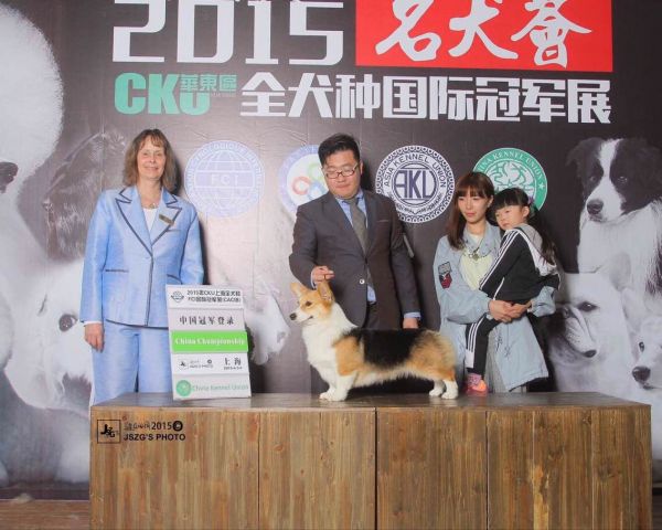 QQ图片20150407212342.jpg