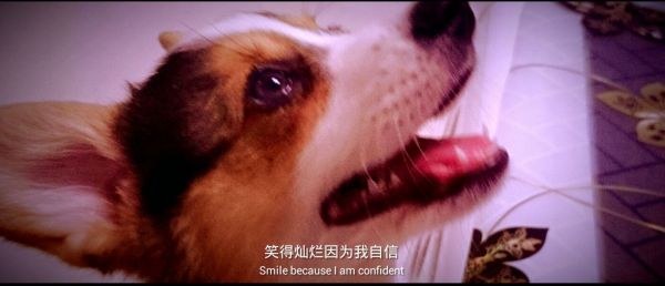 %5HMM2Y10(3SMSE7_PXP0{F.jpg