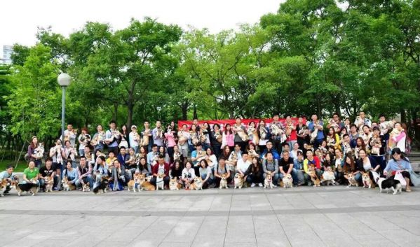PIC_20150523_214750_948_meitu_1.jpg