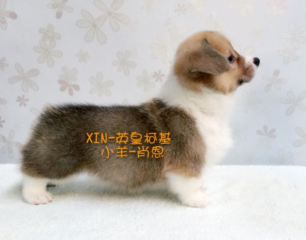 image.jpg