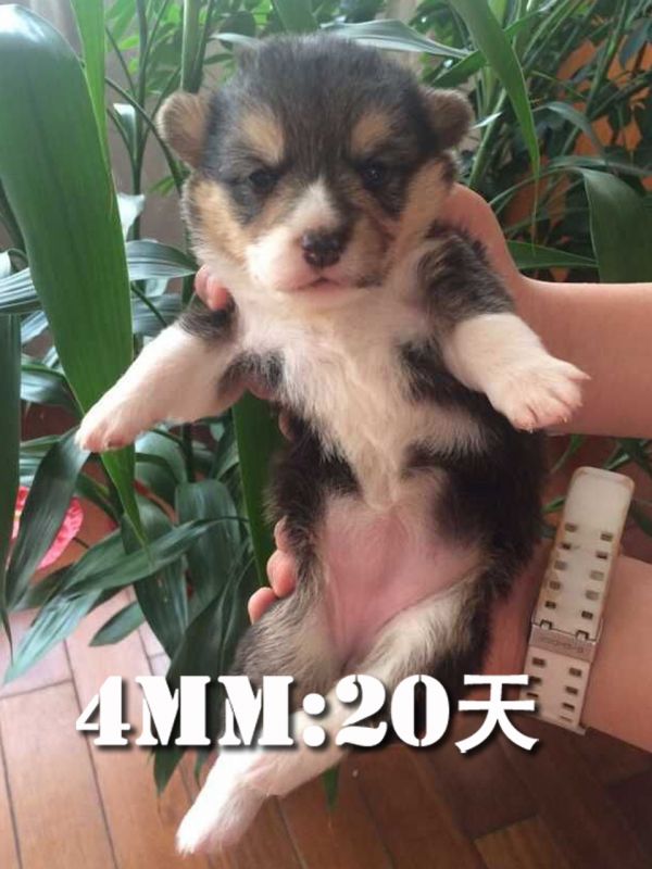 QQ图片20150525181050.jpg