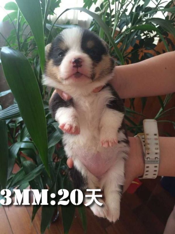 QQ图片20150525181112.jpg