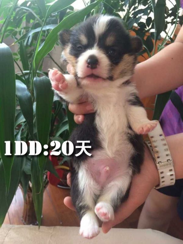 QQ图片20150525181116.jpg