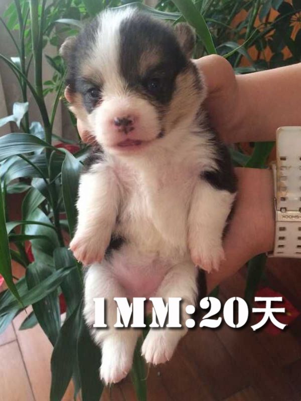 QQ图片20150525181121.jpg
