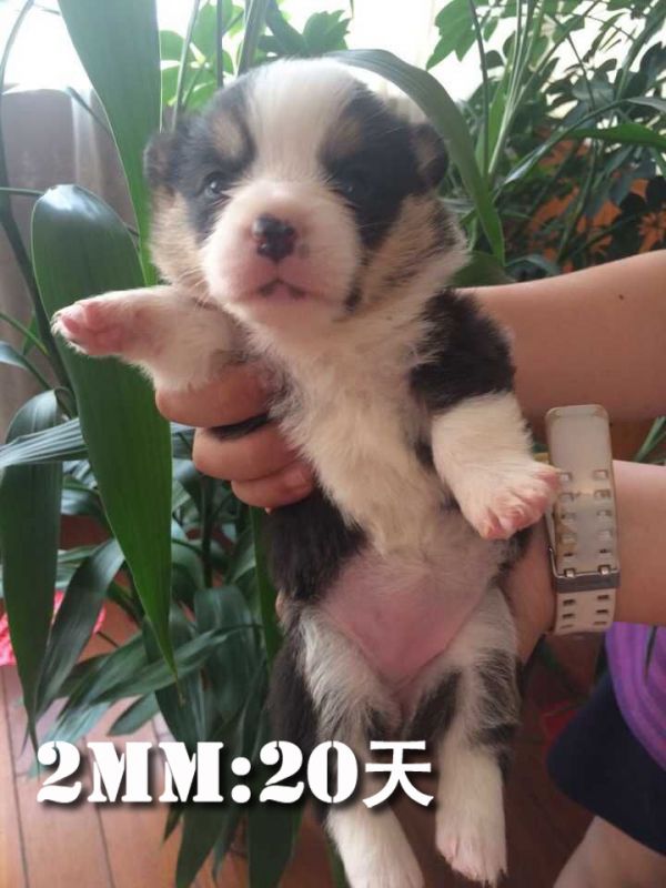 QQ图片20150525181126.jpg