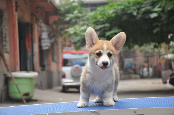 DSC_0497.JPG