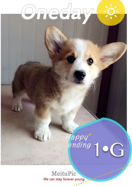QQ图片20150702144907.png