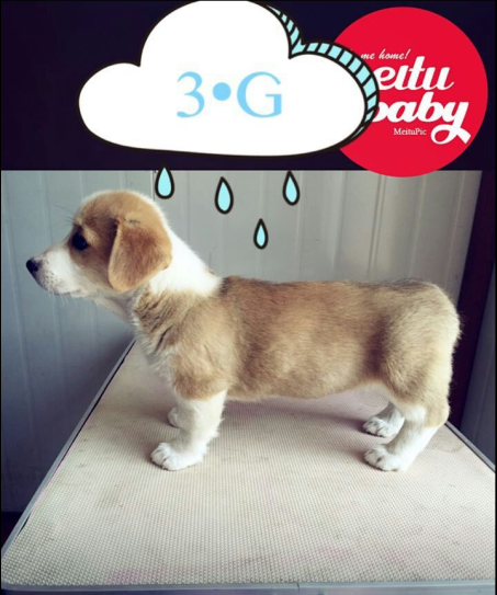 QQ图片20150702145002.png