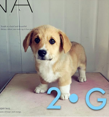 QQ图片20150702145043.png